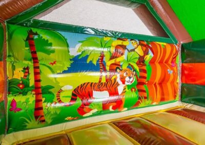 Springkussen Slide Amazone