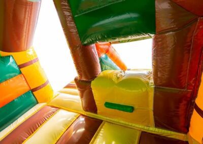 Springkussen Slide Amazone