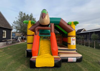 Springkussen Slide Amazone